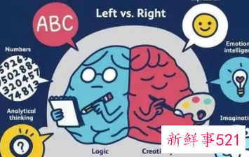 儿童7—12岁大脑发育如何锻炼