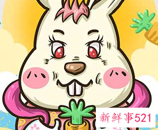 兔子佩戴什么旺