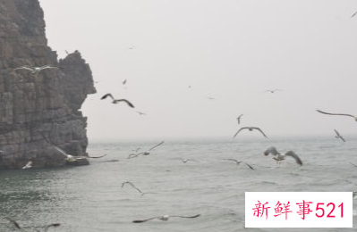 疫情期间尽量不去旅游