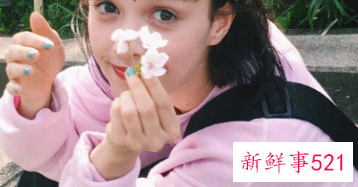 双子座在哪些方面最能如意