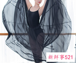 十二星座芭蕾舞鞋和裙子