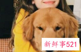 双子座在哪些方面最能如意