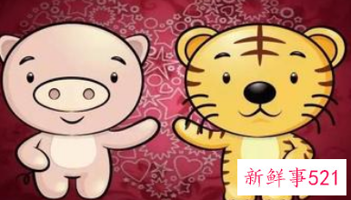 属猪在虎年的运气如何
