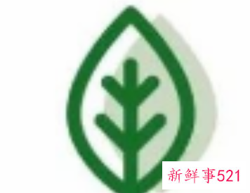 自制一瓶高效无毒驱蚊水