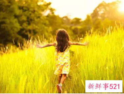 0～6岁儿童敏感期