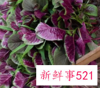 红苋菜的功效和作用