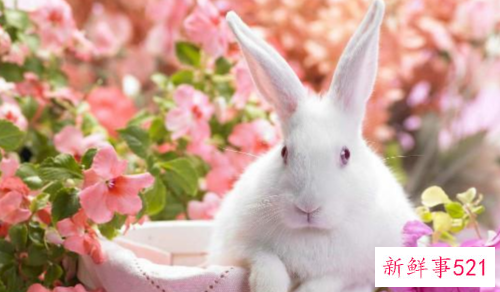 经典情感语录句句扎心