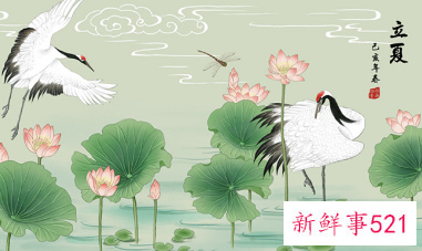 立夏节气的特点和风俗由来