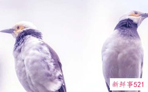 夫妻俩吵架冷战不说话应该怎么办