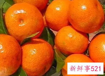 吃沙糖桔的好处和坏处