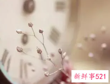 同事把我当傻子看待