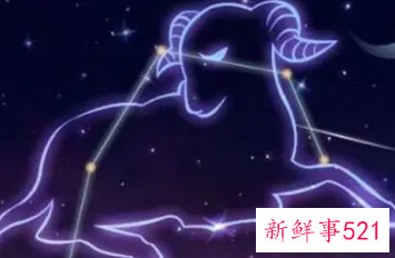 属牛白羊座女生性格特点