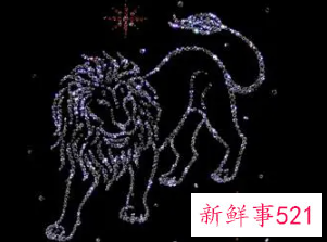 你不曾了解的狮子座秘密