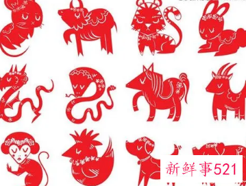 喜欢搞暧昧的生肖女