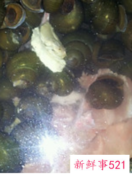 排骨田螺煲汤的做法