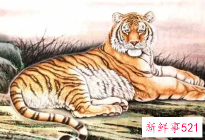 虎和蛇相配婚姻如何破解