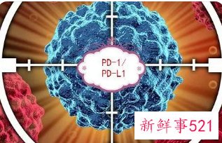国产PD-1出海“闯关”FDA受挫
