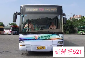 梦见公共汽车的周公解梦