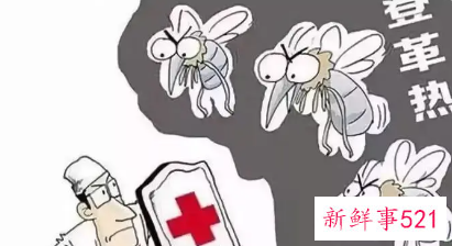 灭蚊灯和蚊香液哪个效果好