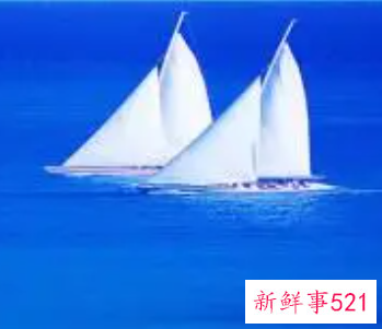 赞美领导的句子