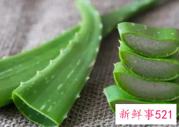 怎样用新鲜的芦荟祛斑美白