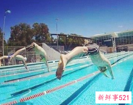 游泳的基本动作