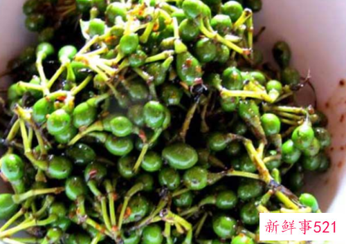 山胡椒的腌制方法