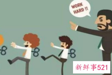 个人执行力简短总结自评