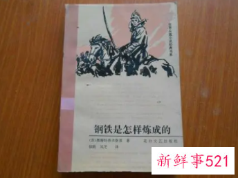钢铁是怎样炼成的读后感200字