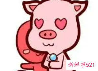 属猪女和属牛男的合不合