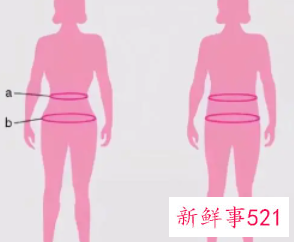 腰和肚子怎么减肥