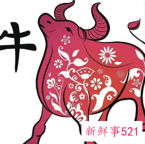 属牛女戴金首饰好吗