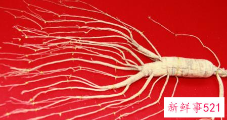 什么样的人群不适合吃人参