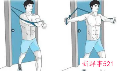 练胸的动作顺序