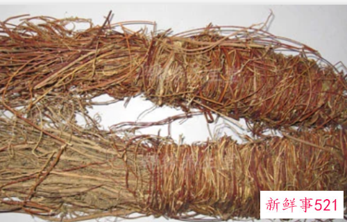 鸡骨草的功效与作用的功能与主治