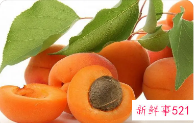 什么样的体质不能吃杏