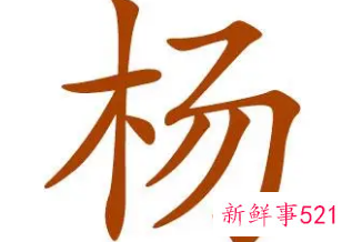 杨氏怎么取名字好听