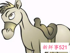 属马人的情商和智商