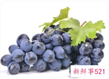 女人梦见葡萄寓意