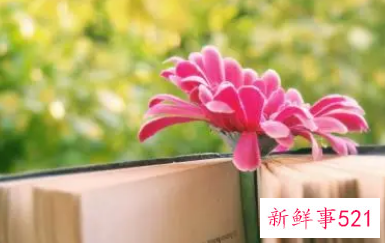 情人生日感言简短句子