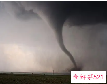 梦见旋风什么寓意