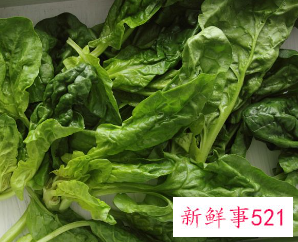 各种青菜大全图片