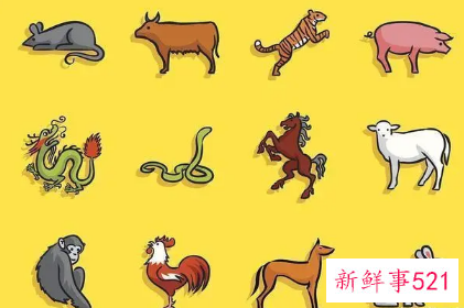 喜欢搞暧昧的生肖女