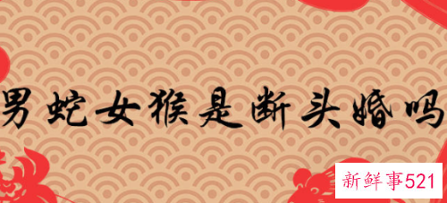 男蛇女猴的婚姻财运