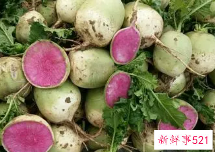 梦见心里美萝卜是什么意思