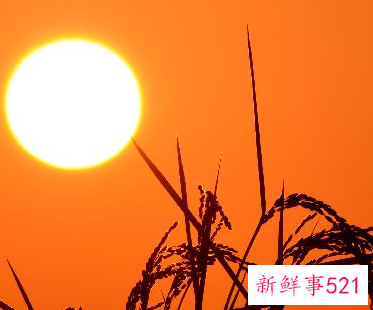 简短狼性团队口号有哪些