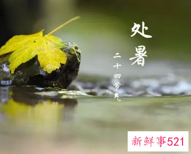 节气处暑的介绍