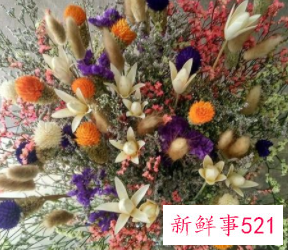 婚房适合摆放什么花