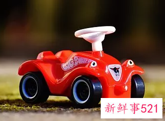 幼儿早期教育应注意什么