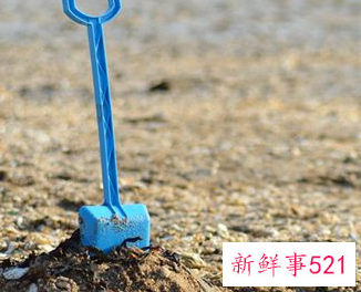 梦见铲子有什么征兆